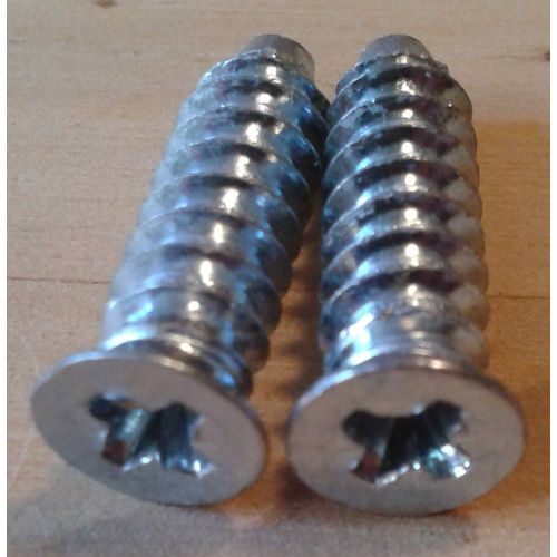 2 Vis Têtes Fraisées Argentés L.21mm Diamètre 6mm