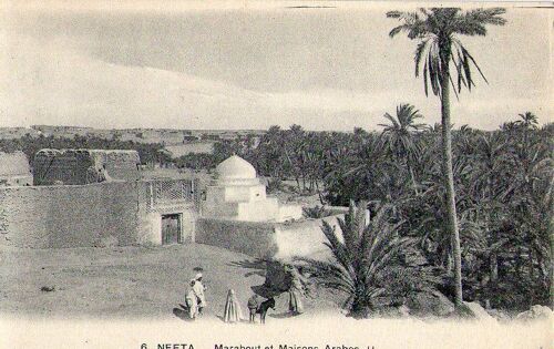 Algérie - Nefta - Marabout Et Maison Arabes - Neuve - Ref 030 173