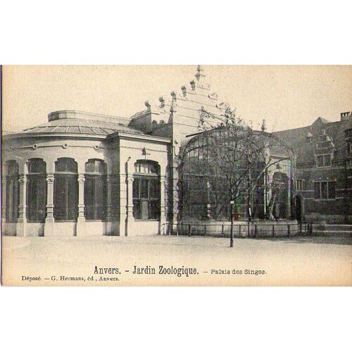 Belgique - Anvers - Jardin Zoologique, Palais Des Singes - Neuve - Ref 030 146