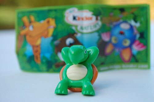 Kinder Nature Tortue Un020