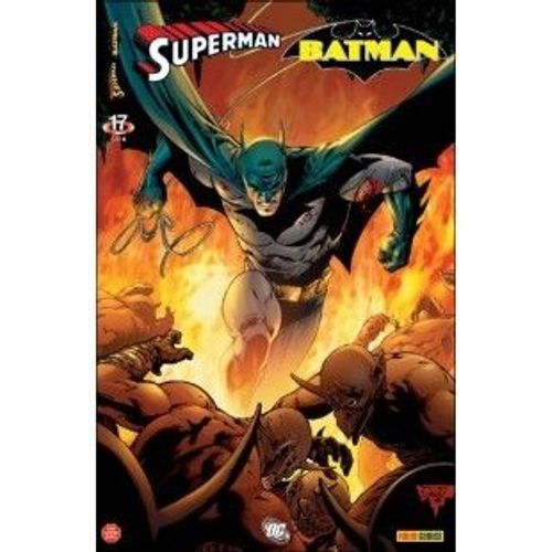 Superman & Batman 17