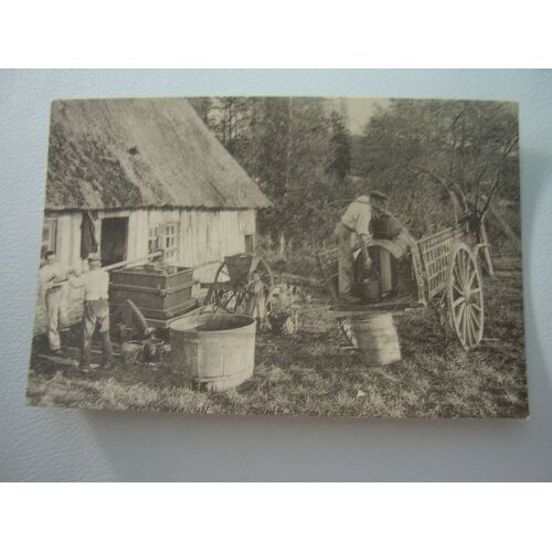 Carte Postale Fabrication Du Cidre Noir & Blanc