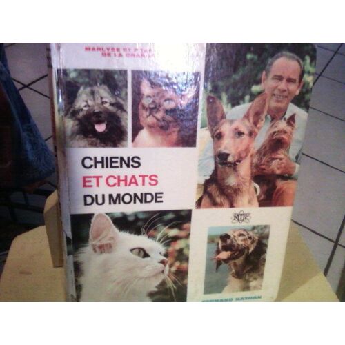 Chiens Et Chats Du Monde