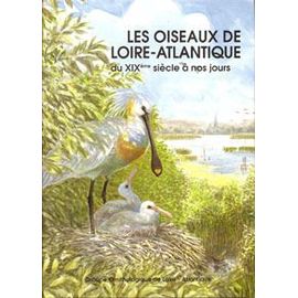 Les Oiseaux De Loire-Atlantique Du Xix Siecle A Nos Jours