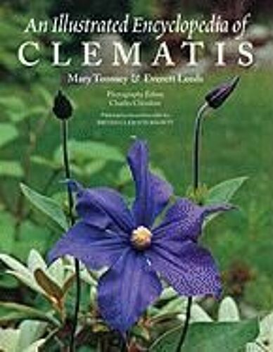 An Illustrated Encyclopedia Of Clematis