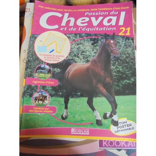Revue