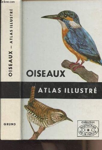 Oiseaux Atlas Illustré