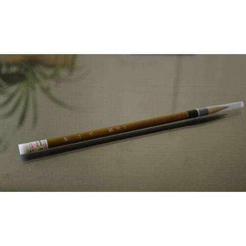 Pinceau Pour La Calligraphie Chinoise Ou Peinture Chinoise