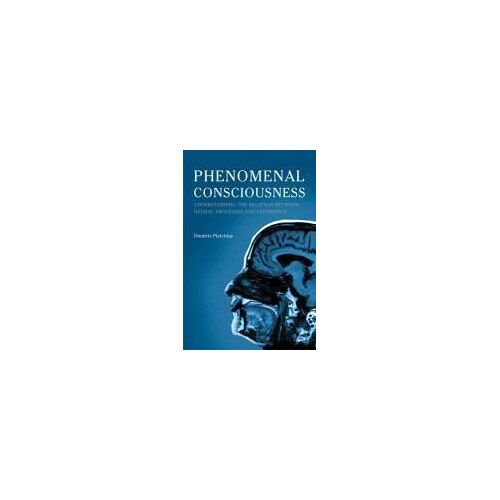 Phenomenal Consciousness