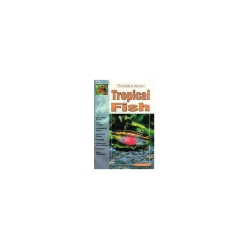 Tropical Fish