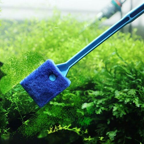 Ages Outil De Nettoyage D'aquarium Brosse De Nettoyage Des Algues? Enlever Les Algues? Grattoir À Poissons? Nettoyeur D'éponge? Sous-Vente