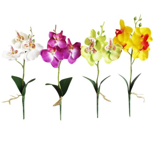 Ages Fleurs Créatives Fantaisie Quatre Papillon Orchidée Viande Plante Bonsaï Fleur Arrangement Accessoires Sous Vente