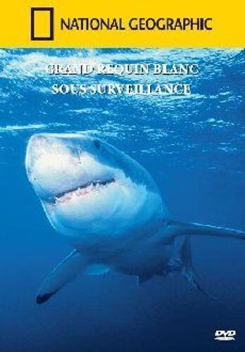 National Geographic : Grand Requin Blanc Sous Surveillance