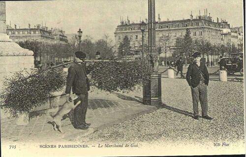 Paris - Le Marchand De Gui - Réédition D'une Cpa - 1er Choix - Ref 021 357