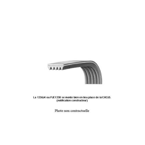 Belt PV 1236 J4 EL
