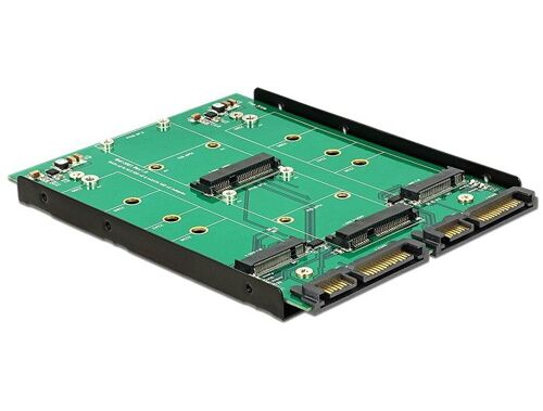 Delock Converter 2 x SATA 22 pin > Dualport 2 x M.2 / 2 x mSATA - Contrôleur de stockage - mSATA, M.2 - M.2 Card / mSATA - SATA 6Gb/s