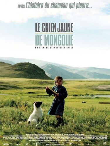 Le Chien Jaune De Mongolie De Byambasuren Davaa Avec Batchuluun Urjindorj, Buyandulam Daramdadi... - Affiche Originale De Cinéma Format 120 Cm X 160 Cm