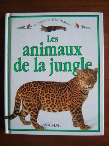 Animaux Jungle