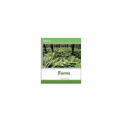Ferns