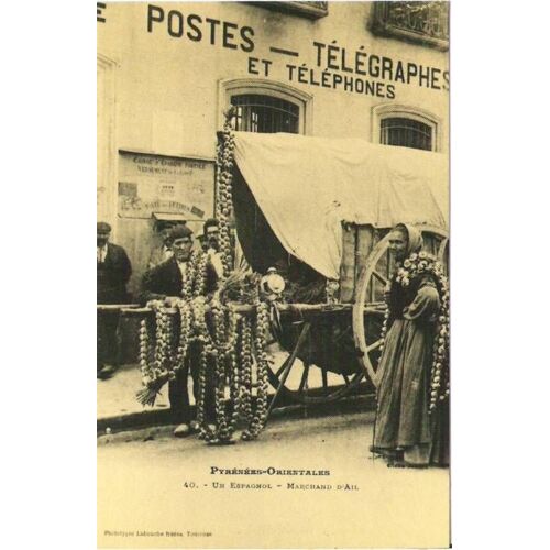 Marchand D'ail - Réédition D'une Cpa - 1er Choix - Ref 020 881