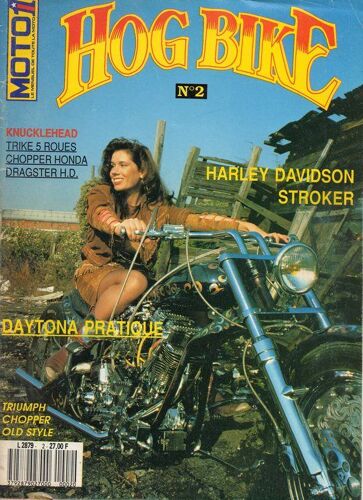 Hog Bike  N° 2 : Harley Davidson Stroker