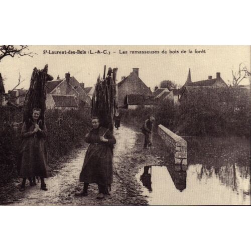 Saint-Laurent-Des-Bois - Les Ramasseuses De Bois De La Foret - Réédition D'une Carte Postale Ancienne - 1er Choix - Ref 020 683