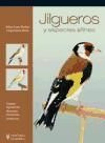 Jilgueros Y Especies Afines