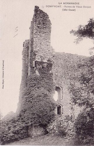 Domfront - Ruines Du Vieux Donjon - Neuve - Ref 020 298