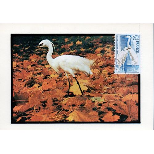 1975 - Aigrette - Villars Les Dombes, Le 15 Février 1975 - Carte Fdc 1er Jour - Ref. 010 035