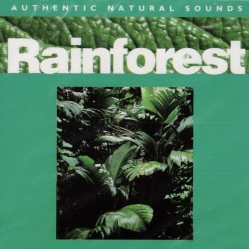 Rainforest