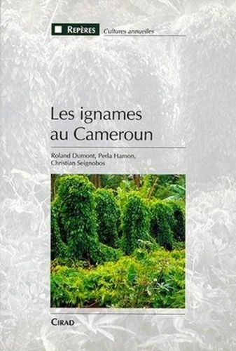 Les Ignames Au Cameroun
