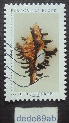 France.. Un Carnet De Curiosités : Gastéropode.