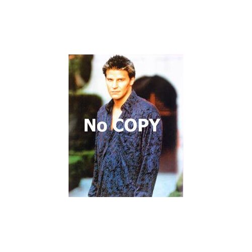 Photo David Boreanaz  - Bones  -  Buffy Contre Les Vampires  -  Angel  -  Couleur  Format 20x25cm