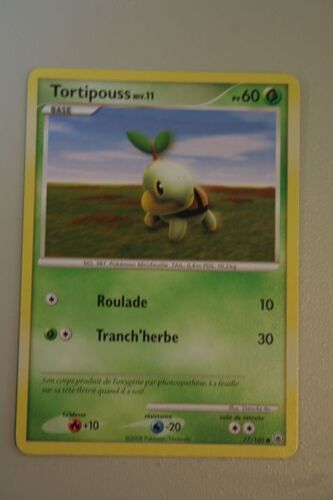 Carte Pokemon Tortipouss