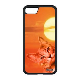 Coque Silicone Iphone Se 2022 Chat Lol Cat Orange Chaton Rigide De Protection Design Ciel Animaux Animal Matou Felin Portable