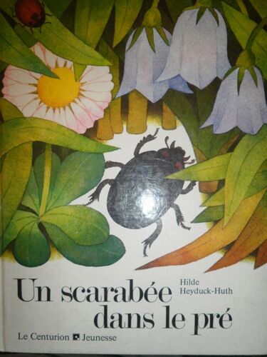 Un Scarabée Dans Le Pré