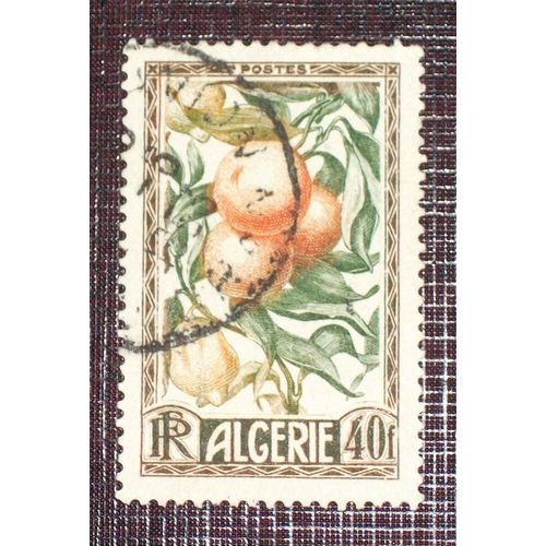 Anciennes Colonies Françaises - Algerie N° 281 Oblitéré De 1950 - 40f « Productions Algériennes : Oranges Et Citrons »