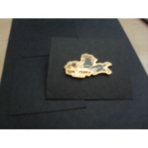 Pin's Tom Et Jerry Kids