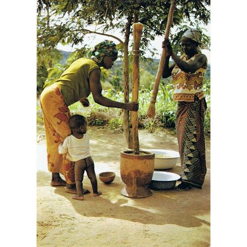 Cameroun - Préparatifs De Repas .