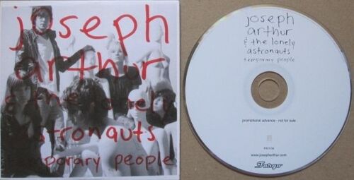 Temporary People (12t)