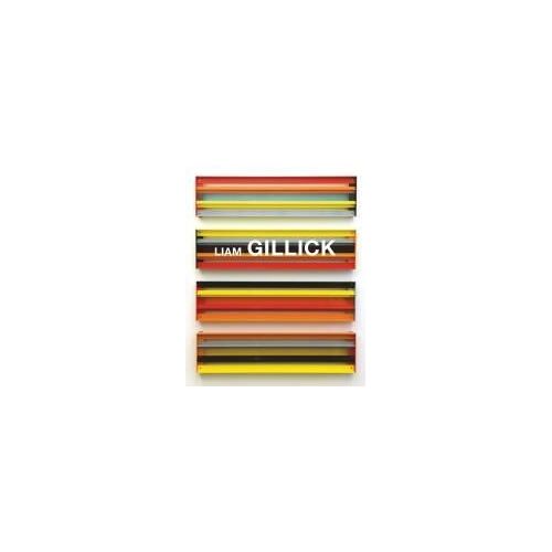 Liam Gillick