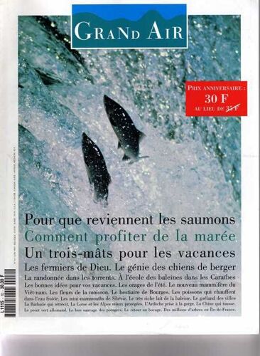 Grand Air  N° 10 : Pour Que Reviennent Les Saumons; Comment Profiter De La Maree; Un Tois-Mats Pour Les Vacances