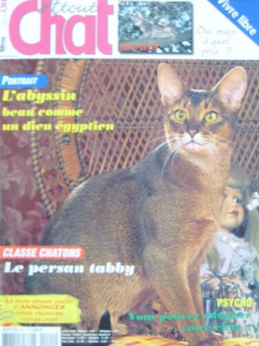 Atout Chat  N° 221 : L'abyssin, Beau Comme Un Dieu Égyptien