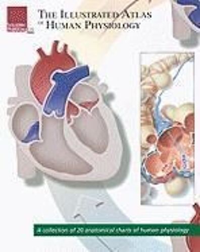 The Illustrated Atlas Of Human Physiology