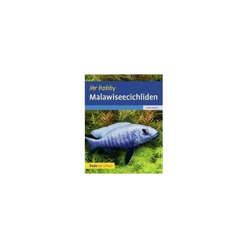 Malawiseecichliden