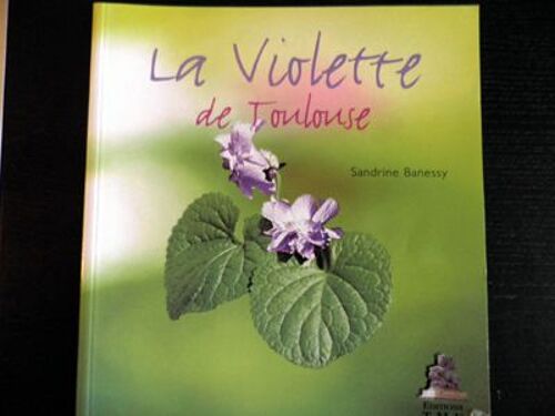 La Violette De Toulouse