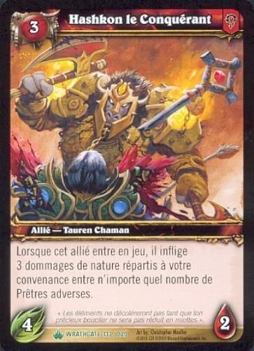 Hashkon Le Conquerant - Wow - Wrathgate 133/220