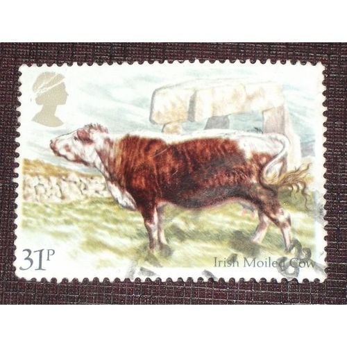 Royaume-Uni N° 1121 Oblitéré De 1984 - 31p « L¿Élevage Bovin Britannique : Vache Irlandaise Sans Cornes » (Ref : Gb-1121-O1)
