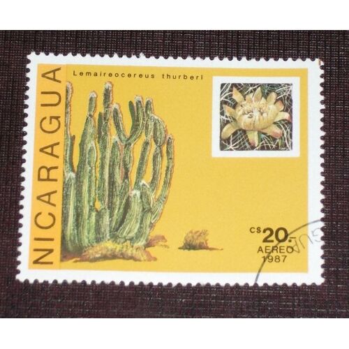 Theme Fleurs - Timbre Oblitéré Du Nicaragua (Ref : Tfl-35)