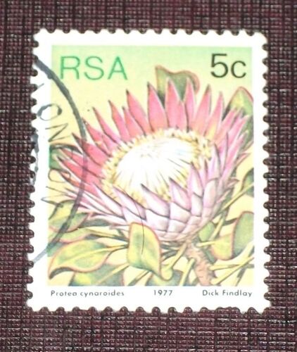 Theme Fleurs - Timbre Oblitéré De Afrique Du Sud (Ref : Tfl-38)